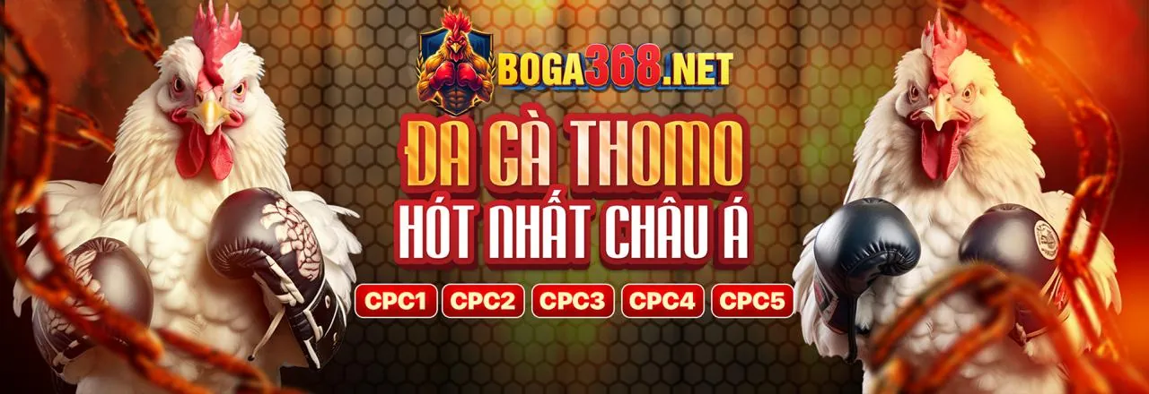 Hình ảnh đá gà trực tuyến BOT88 khuyến mãi